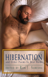 Hibernation, front cover [not final]. 